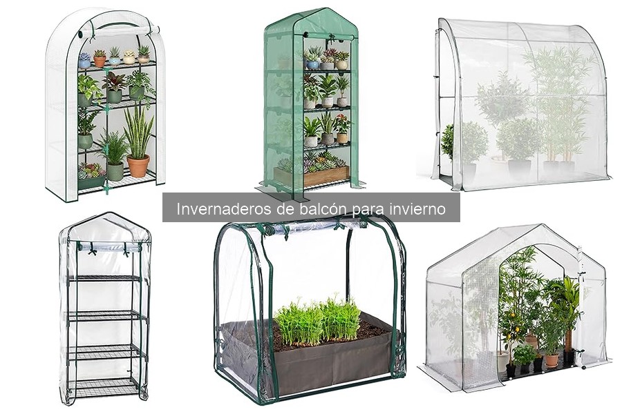 Mejores invernaderos de balcón para cultivar en invierno