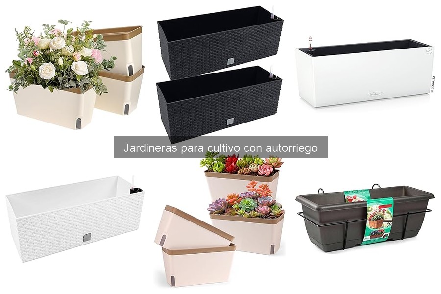 Mejores jardineras con autorriego para principiantes