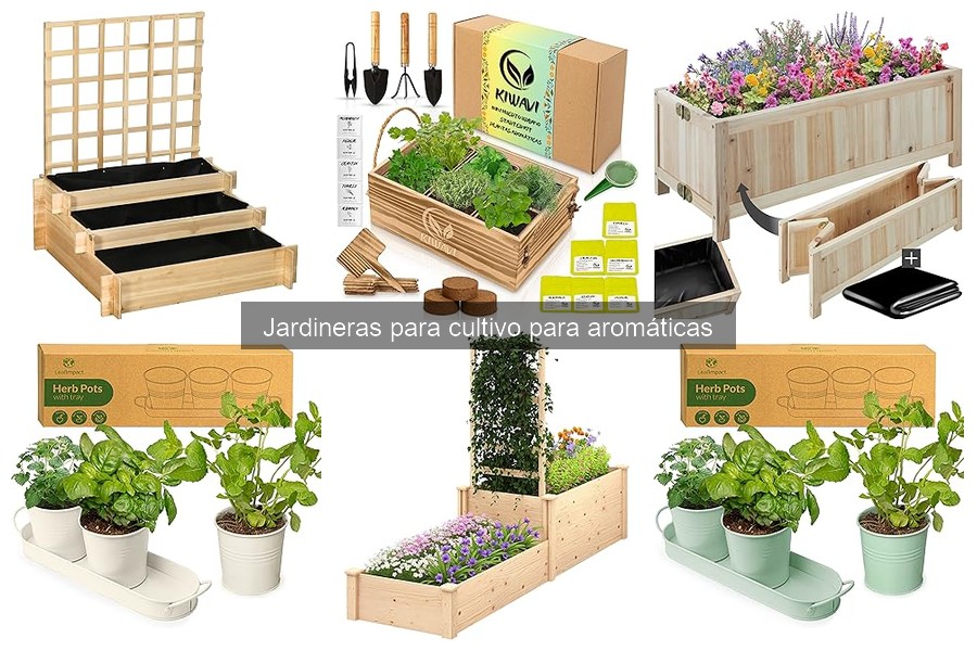 Mejores Jardineras para Aromáticas en Espacios Reducidos