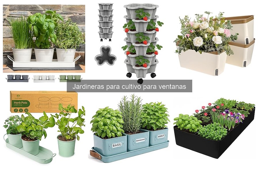 Mejores jardineras para cultivo en ventanas según espacio