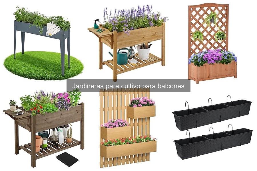 Mejores jardineras para principiantes en cultivo urbano
