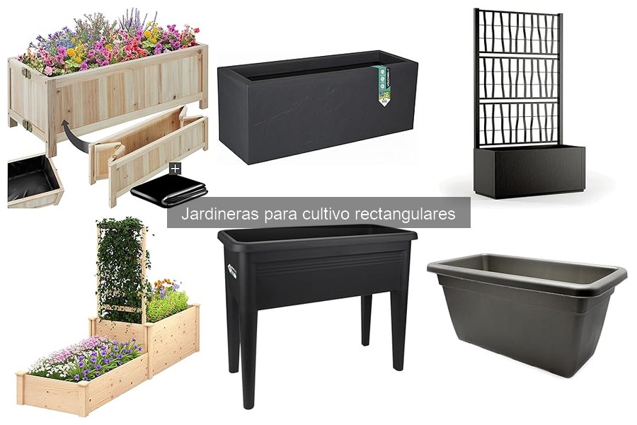 Mejores jardineras rectangulares para principiantes en cultivo urbano