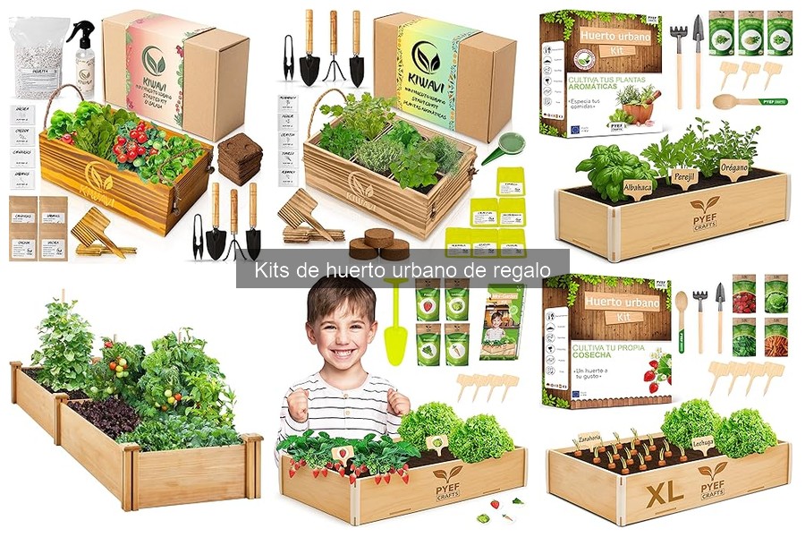 Mejores kits de huerto urbano para principiantes en 2023