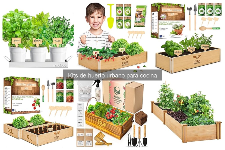 Mejores kits de huerto urbano para principiantes en casa