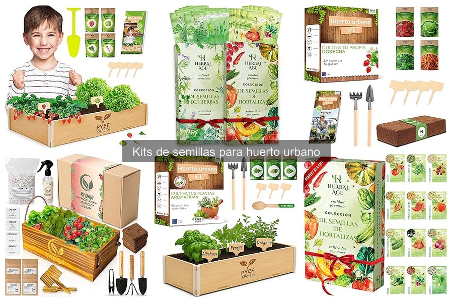 Mejores kits de semillas para principiantes en huertos urbanos