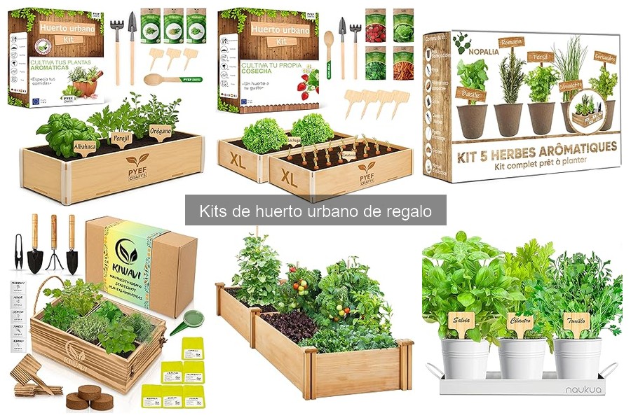 Mejores lugares para comprar kits de huerto urbano de regalo