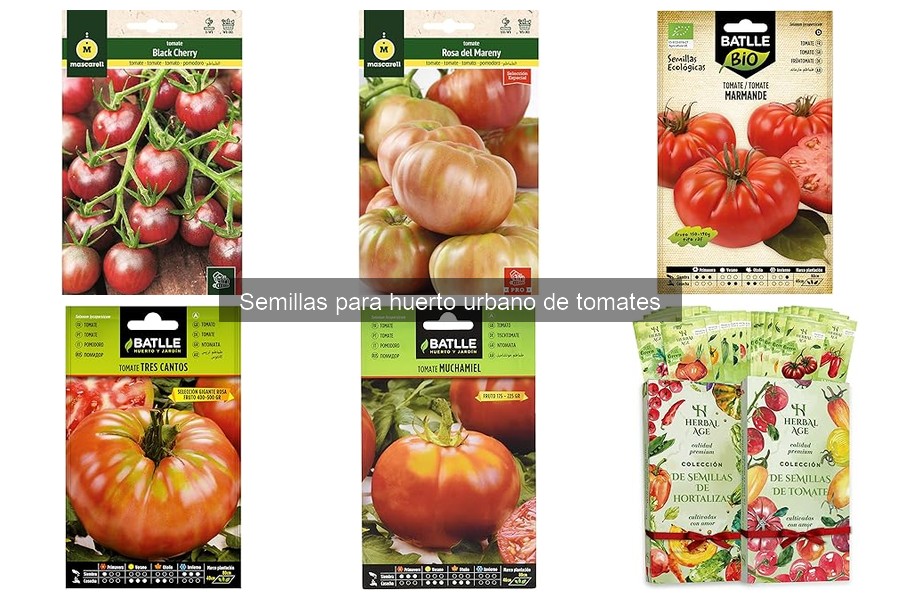 Mejores lugares para comprar semillas de tomate de calidad