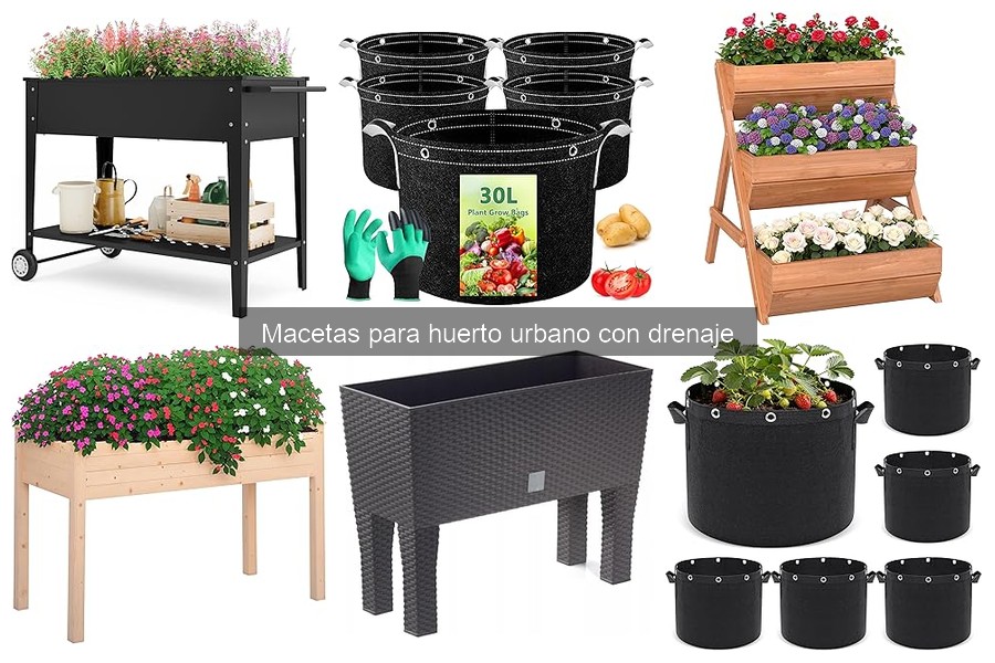 Mejores macetas con drenaje para cultivar tomates