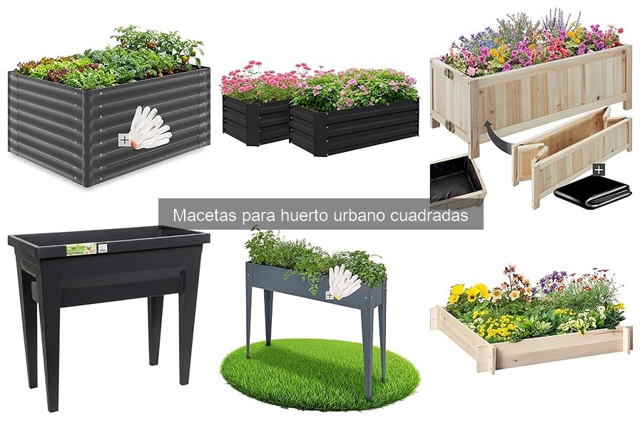 Mejores macetas cuadradas para tu huerto urbano: guía de compra
