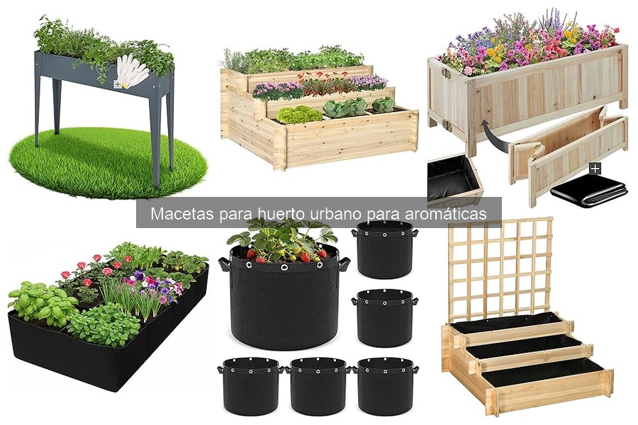 Mejores macetas para cultivar plantas aromáticas en casa