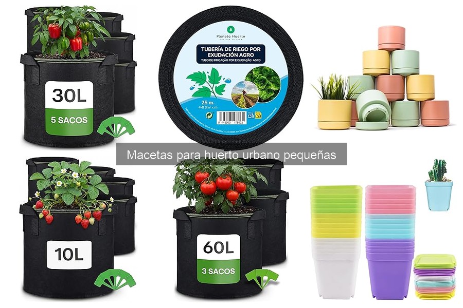 Mejores macetas pequeñas para cultivar hierbas aromáticas