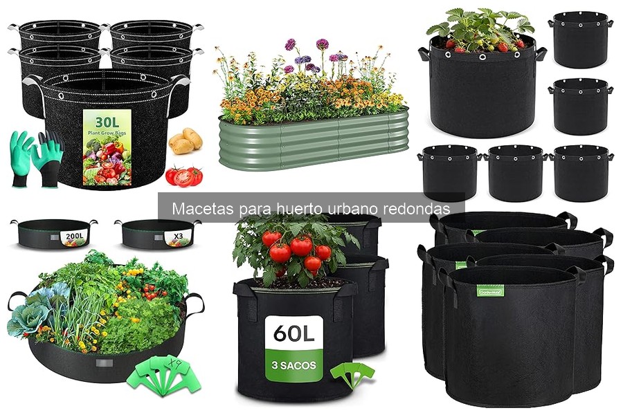 Mejores macetas redondas para cultivar en casa 2023