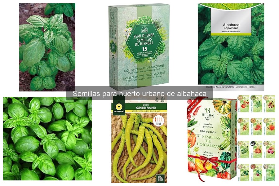 Mejores marcas de semillas de albahaca para huertos urbanos