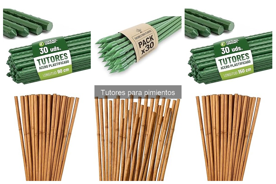 ** Mejores materiales para tutores de pimientos: guía informativa