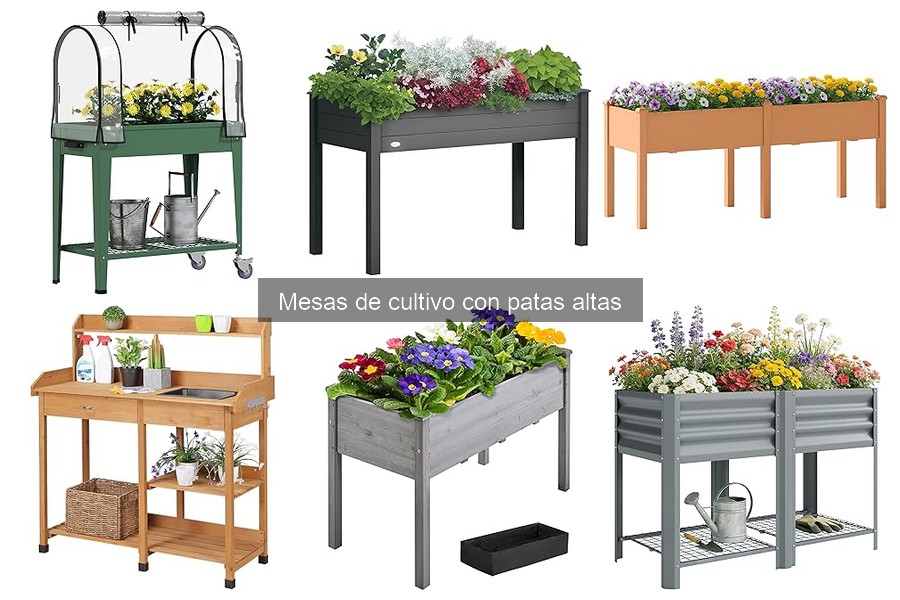 Mejores mesas de cultivo con patas altas para principiantes