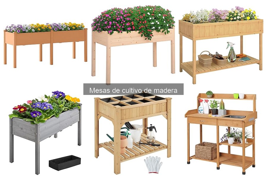 Mejores mesas de cultivo de madera para pequeños jardines