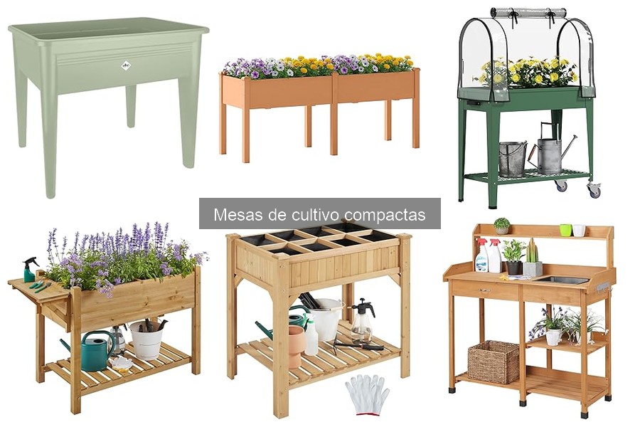 Mejores plantas para cultivar en mesas de cultivo compactas