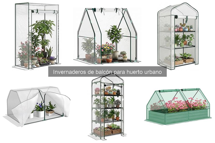 Mejores plantas para invernaderos de balcón en 2023