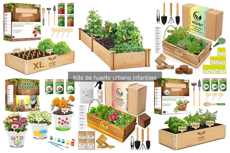 Mejores plantas para kits de huerto urbano infantiles