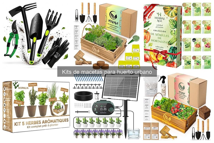 Mejores plantas para kits de macetas en huerto urbano