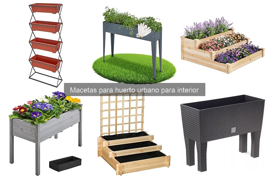 Mejores plantas para macetas en huerto urbano interior