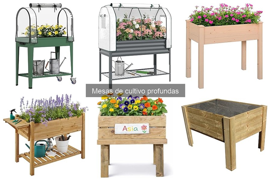 Mejores plantas para mesas de cultivo profundas