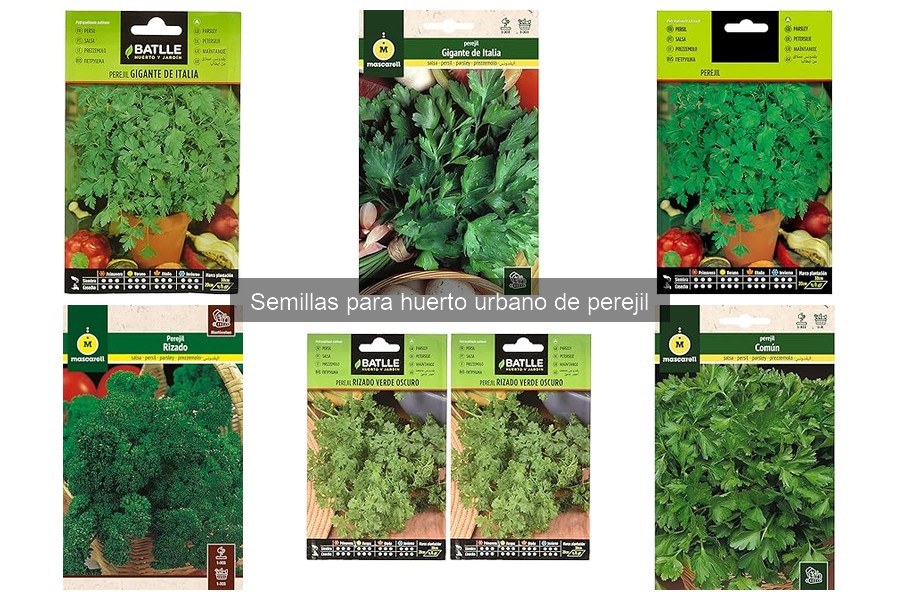 Mejores productos para cultivar perejil en tu huerto urbano