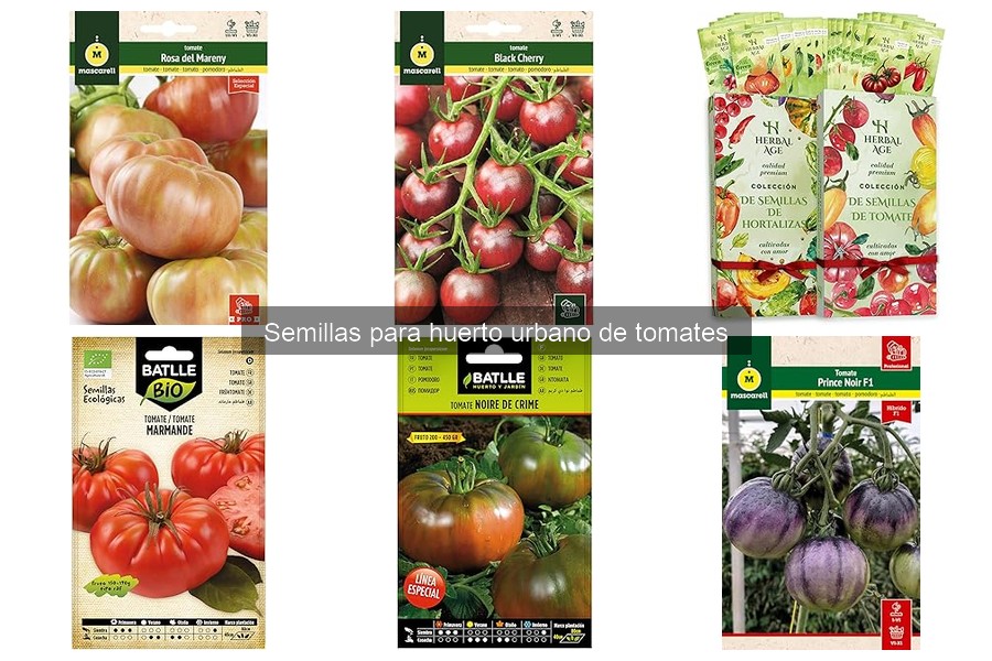 Mejores semillas de tomate para huertos urbanos