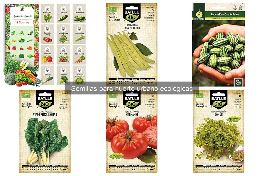 Mejores semillas ecológicas para principiantes en huertos urbanos