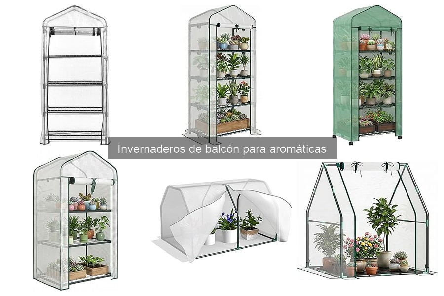 Mejores sitios para comprar invernaderos de balcón para hierbas