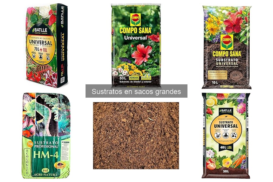 Mejores sustratos en sacos grandes para tus plantas