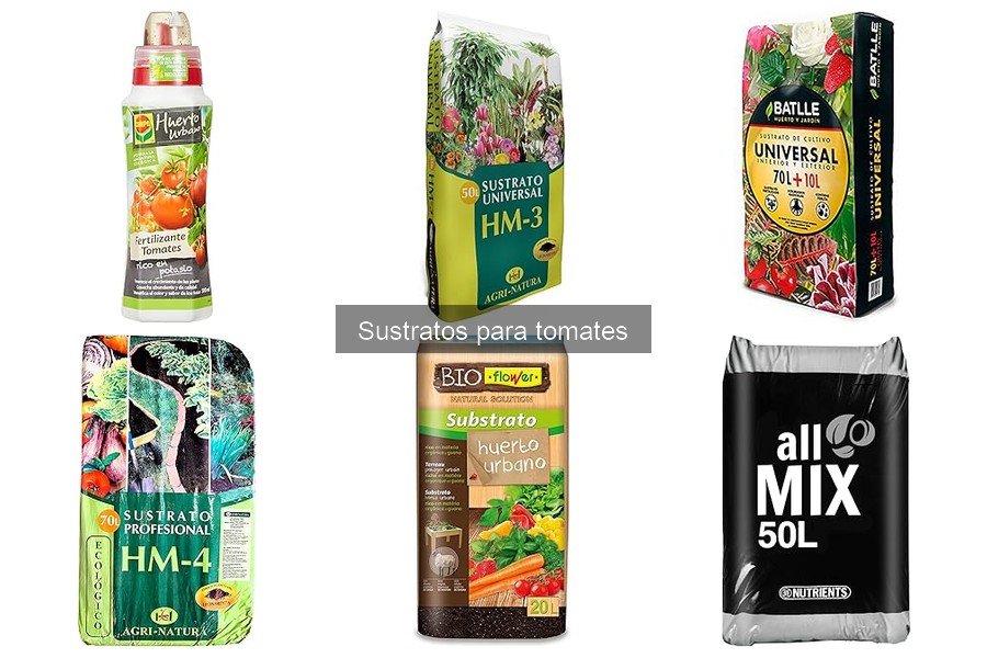 Mejores sustratos para cultivar tomates en casa
