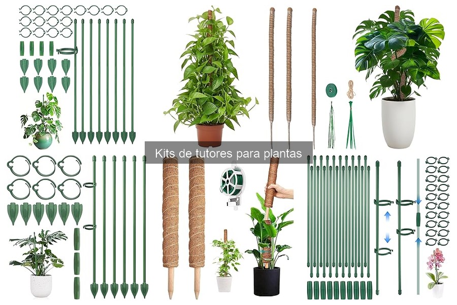 Mejores tiendas para comprar kits de tutores para plantas