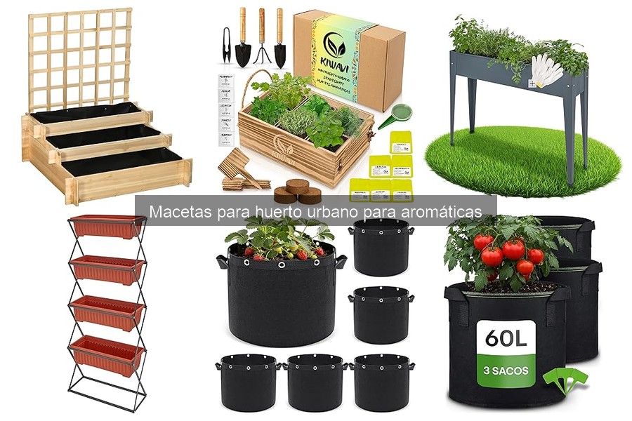 Mejores tiendas para comprar macetas de hierbas aromáticas