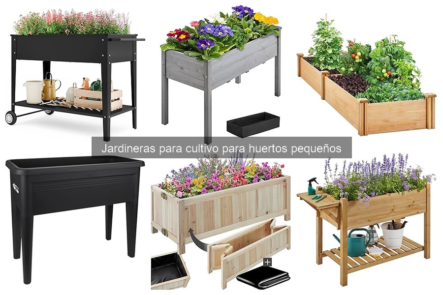 Mejores tipos de jardineras para huertos pequeños