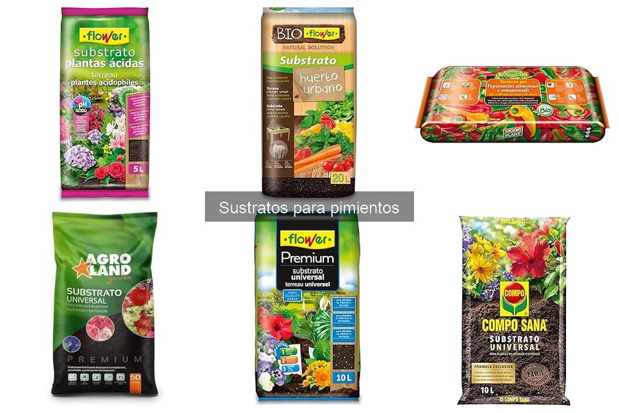 Mejores tipos de sustratos para pimientos en cultivo urbano