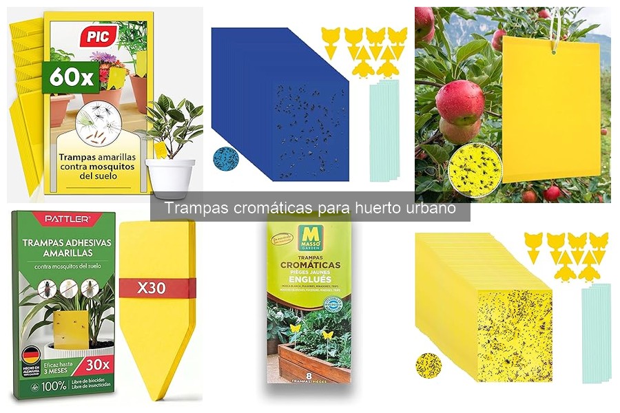 Mejores trampas cromáticas para plagas en huertos urbanos