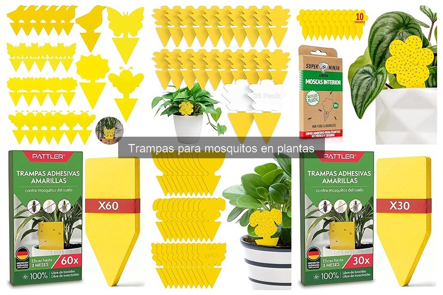 Mejores trampas para mosquitos en plantas: Comparativa 2023