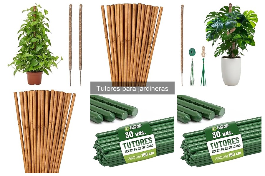 Mejores tutores para jardineras pequeñas: eficaces y prácticos