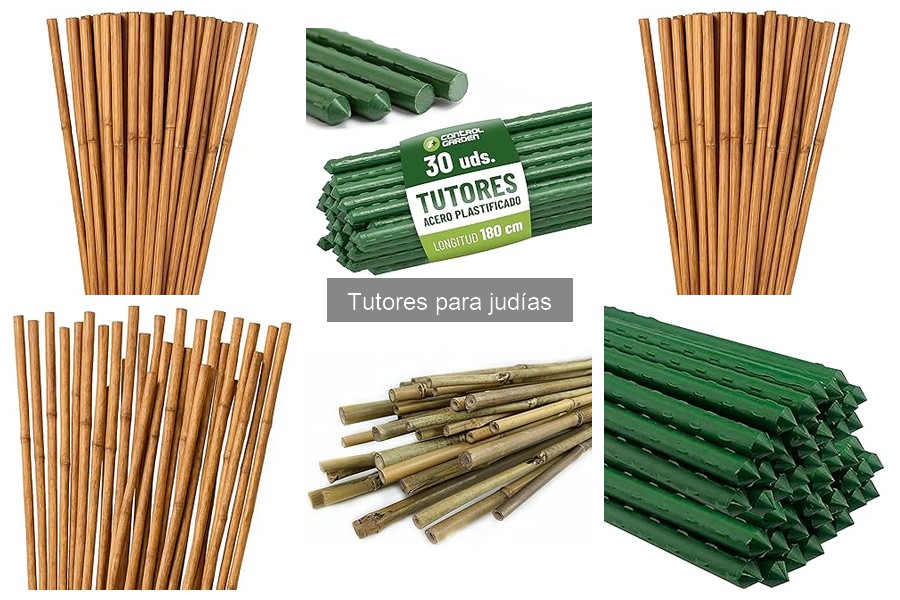 Mejores tutores para judías en jardinería urbana