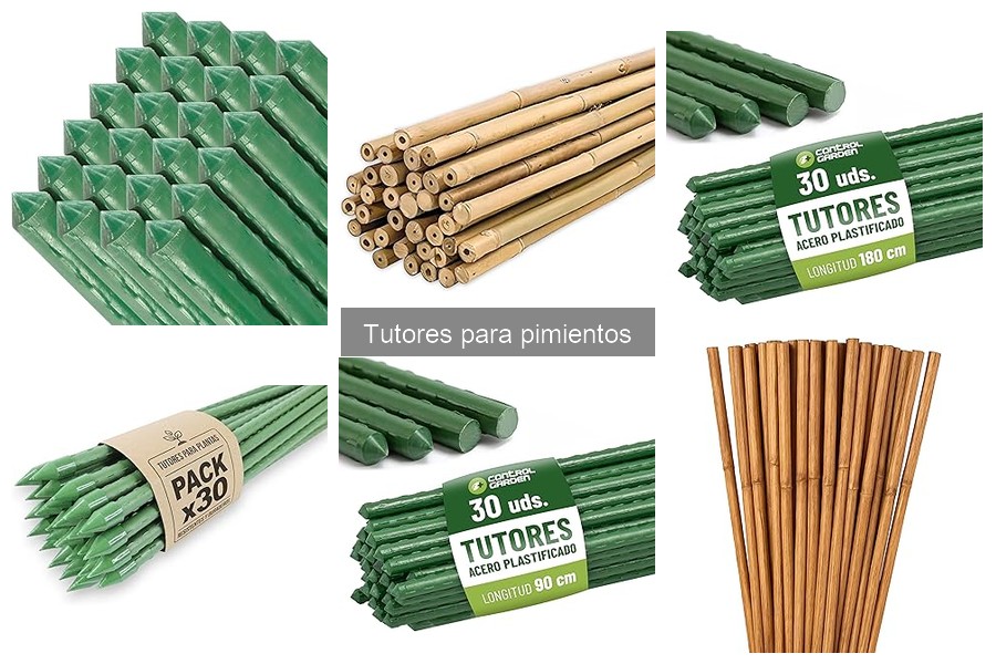 Mejores tutores para pimientos en interiores: comparativa 2023