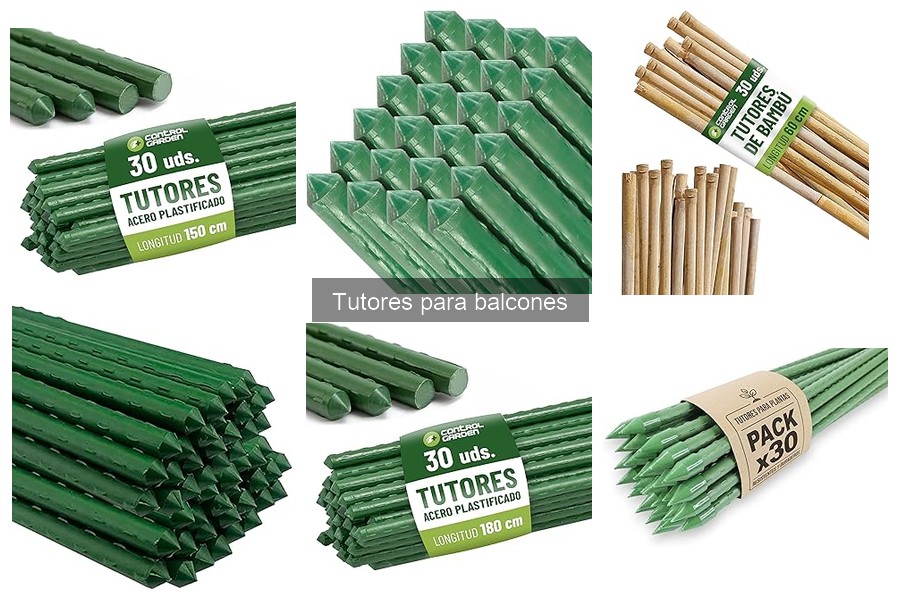 Mejores tutores para plantas trepadoras en balcones