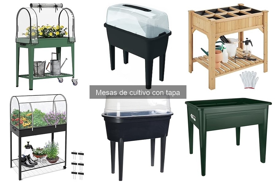 Mesas de cultivo con tapa: características y funciones