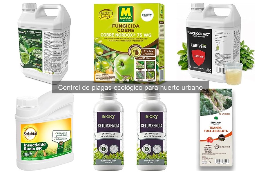 Métodos Naturales para Control de Plagas en Huertos Urbanos
