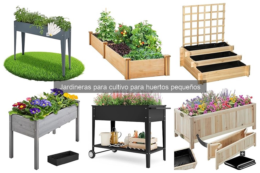 Optimiza el espacio en jardineras pequeñas: consejos clave