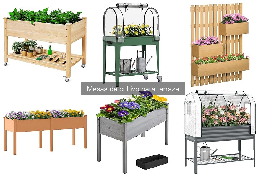 Plantas ideales para mesas de cultivo en terrazas