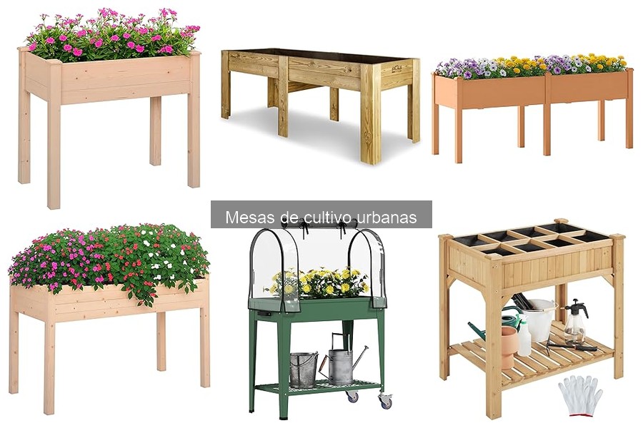 Plantas ideales para mesas de cultivo urbanas