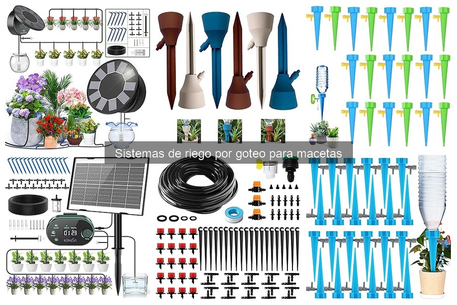 Plantas ideales para riego por goteo en macetas