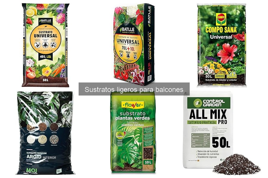 Plantas ideales para sustratos ligeros en balcones