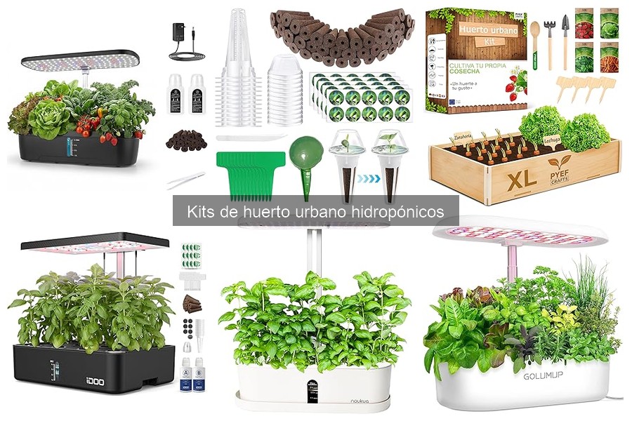 Plantas ideales para tu kit de huerto urbano hidropónico